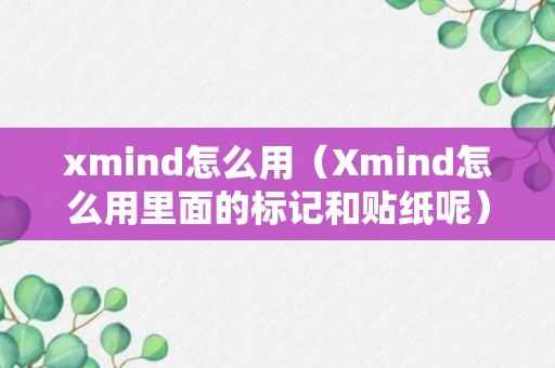 xmind怎么用（Xmind怎么用里面的标记和贴纸呢）