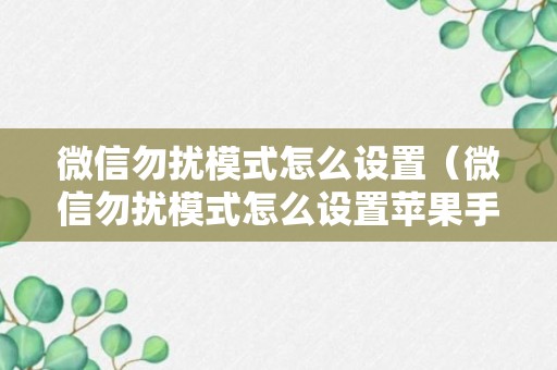 微信勿扰模式怎么设置（微信勿扰模式怎么设置苹果手机）