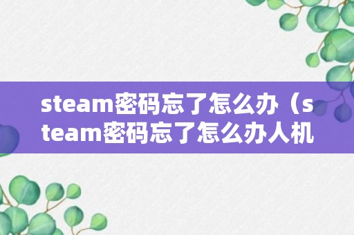 steam密码忘了怎么办（steam密码忘了怎么办人机验证过）