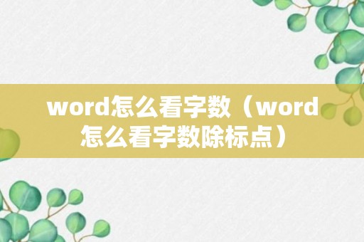 word怎么看字数（word怎么看字数除标点）