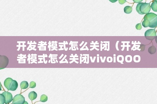 开发者模式怎么关闭（开发者模式怎么关闭vivoiQOO）