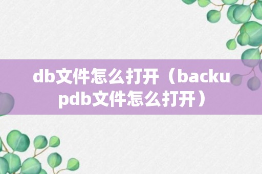 db文件怎么打开（backupdb文件怎么打开）