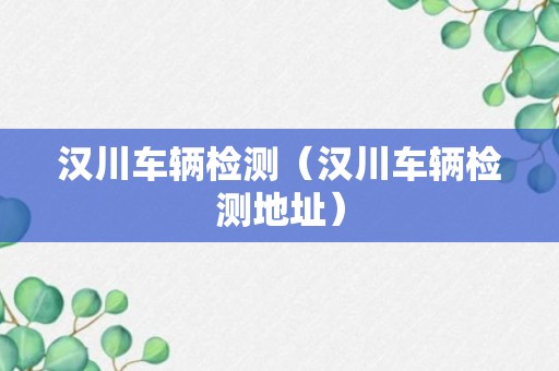 汉川车辆检测（汉川车辆检测地址）