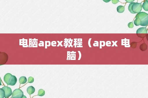 电脑apex教程（apex 电脑）