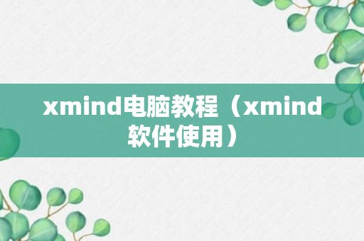 xmind电脑教程（xmind软件使用）