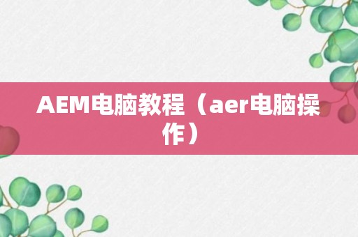 AEM电脑教程（aer电脑操作）