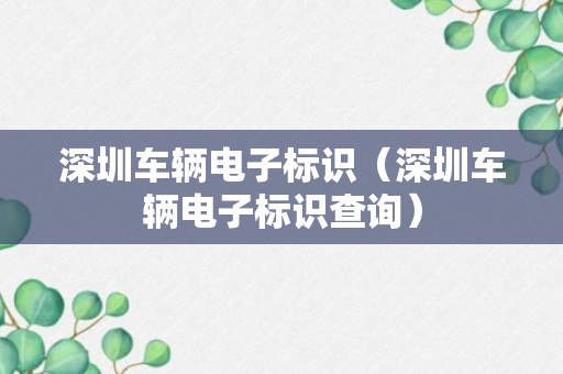 深圳车辆电子标识（深圳车辆电子标识查询）