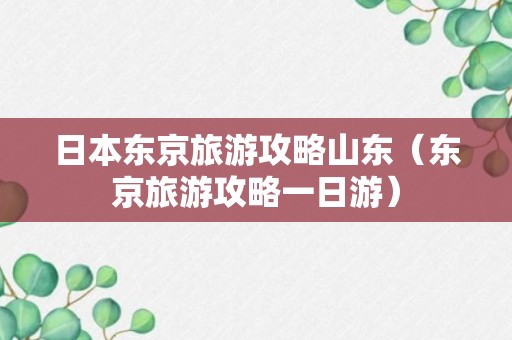 日本东京旅游攻略山东（东京旅游攻略一日游）