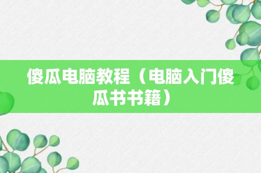 傻瓜电脑教程（电脑入门傻瓜书书籍）