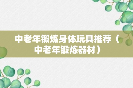 中老年锻炼身体玩具推荐（中老年锻炼器材）