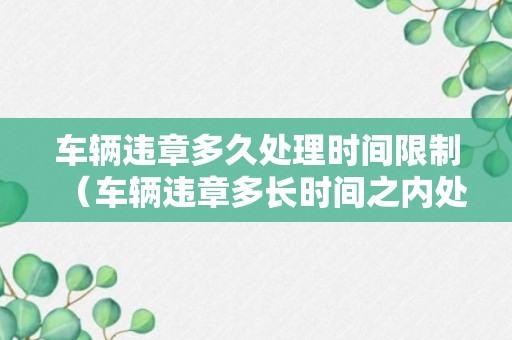 车辆违章多久处理时间限制（车辆违章多长时间之内处理）