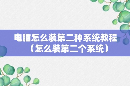 电脑怎么装第二种系统教程（怎么装第二个系统）