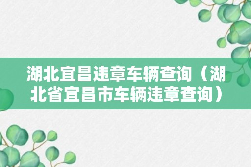 湖北宜昌违章车辆查询（湖北省宜昌市车辆违章查询）