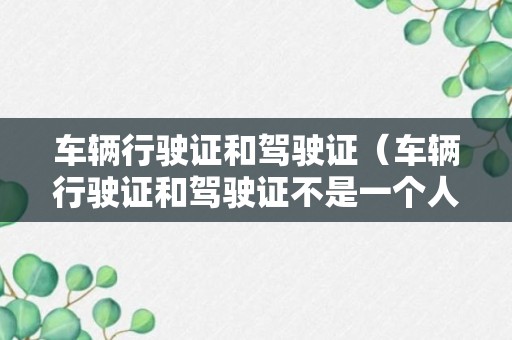 车辆行驶证和驾驶证（车辆行驶证和驾驶证不是一个人怎么消分）