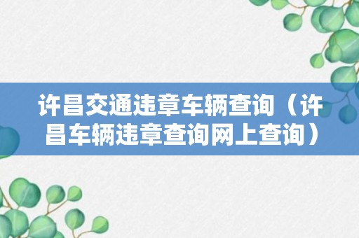 许昌交通违章车辆查询（许昌车辆违章查询网上查询）