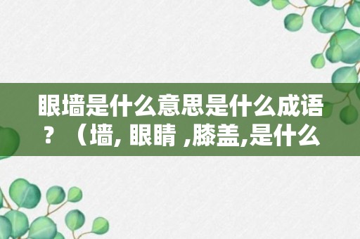 眼墙是什么意思是什么成语？（墙, 眼睛 ,膝盖,是什么意思吗?）