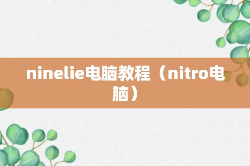 ninelie电脑教程（nitro电脑）