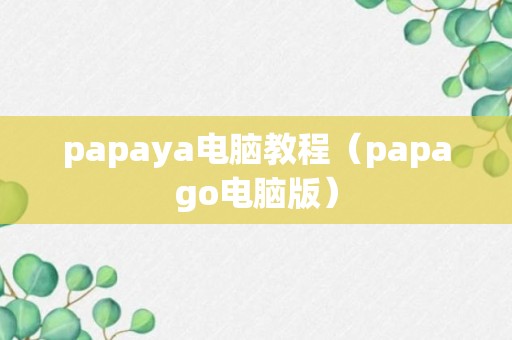 papaya电脑教程（papago电脑版）