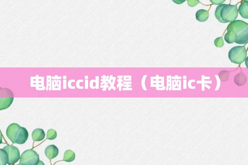 电脑iccid教程（电脑ic卡）