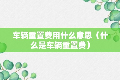 车辆重置费用什么意思（什么是车辆重置费）