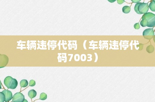 车辆违停代码（车辆违停代码7003）