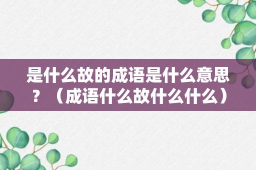 是什么故的成语是什么意思？（成语什么故什么什么）