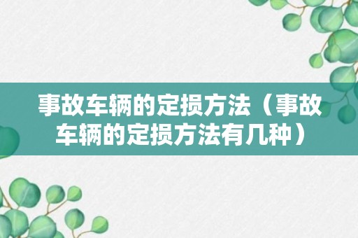 事故车辆的定损方法（事故车辆的定损方法有几种）