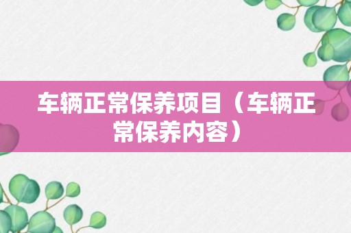 车辆正常保养项目（车辆正常保养内容）