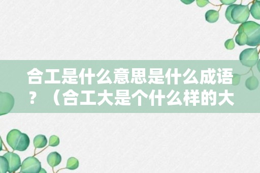 合工是什么意思是什么成语？（合工大是个什么样的大学）