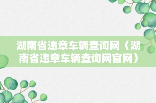 湖南省违章车辆查询网（湖南省违章车辆查询网官网）