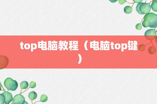 top电脑教程（电脑top键）