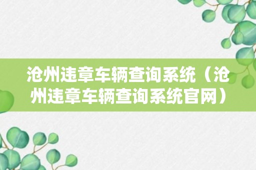 沧州违章车辆查询系统（沧州违章车辆查询系统官网）