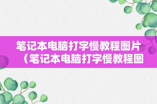 笔记本电脑打字慢教程图片（笔记本电脑打字慢教程图片）