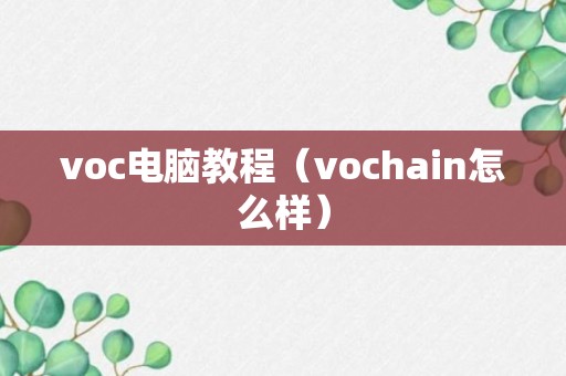 voc电脑教程（vochain怎么样）