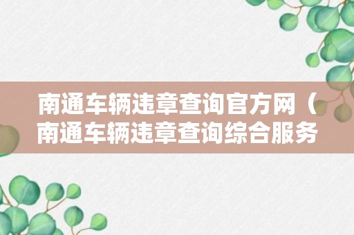 南通车辆违章查询官方网（南通车辆违章查询综合服务平台）