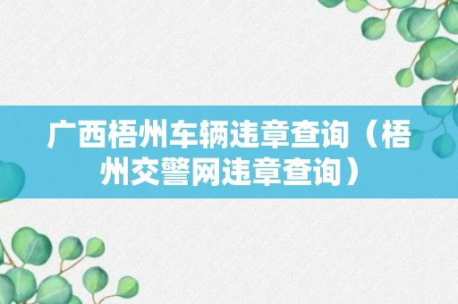 广西梧州车辆违章查询（梧州交警网违章查询）