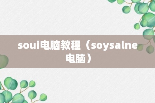 soui电脑教程（soysalne电脑）