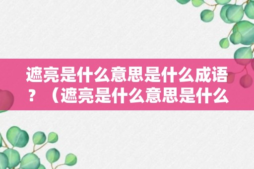 遮亮是什么意思是什么成语？（遮亮是什么意思是什么成语啊）