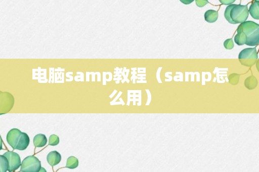 电脑samp教程（samp怎么用）