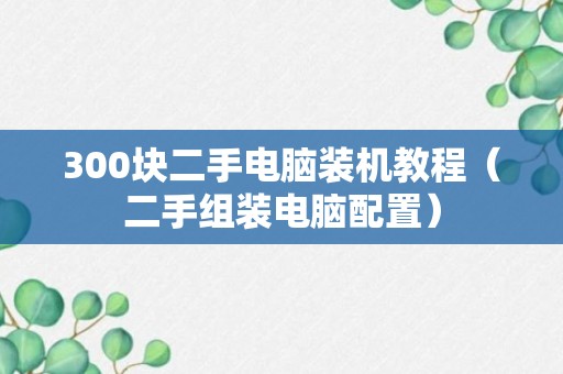 300块二手电脑装机教程（二手组装电脑配置）