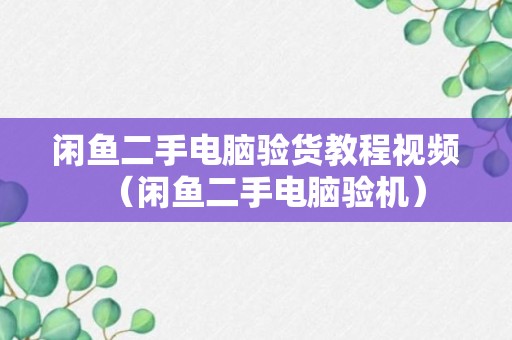 闲鱼二手电脑验货教程视频（闲鱼二手电脑验机）