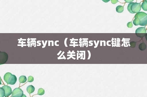 车辆sync（车辆sync键怎么关闭）