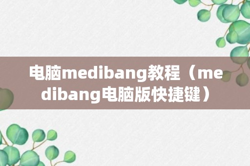 电脑medibang教程（medibang电脑版快捷键）