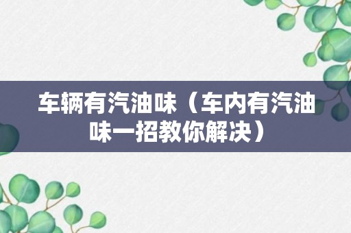 车辆有汽油味（车内有汽油味一招教你解决）