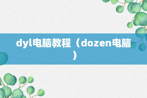 dyl电脑教程（dozen电脑）