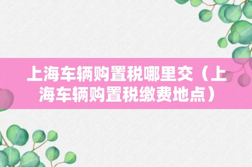 上海车辆购置税哪里交（上海车辆购置税缴费地点）