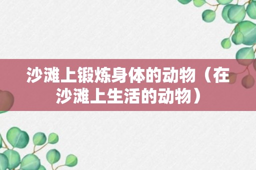 沙滩上锻炼身体的动物（在沙滩上生活的动物）