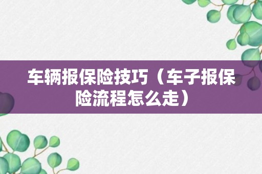 车辆报保险技巧（车子报保险流程怎么走）