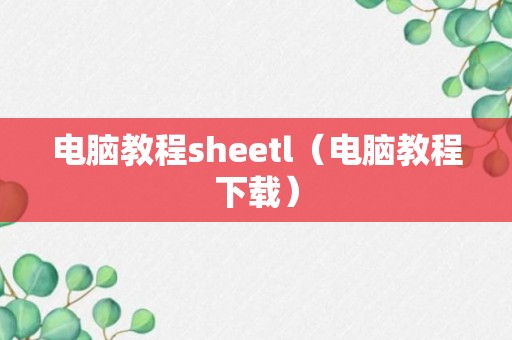 电脑教程sheetl（电脑教程下载）