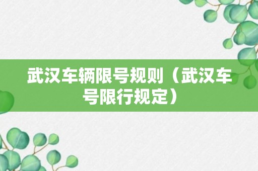 武汉车辆限号规则（武汉车号限行规定）